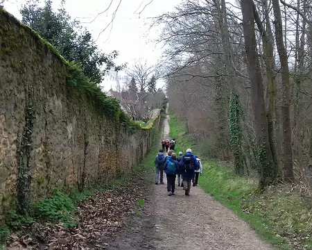 044 Chemin en lisière de forêt. Le mur marque la limite entre le grand parc de Versailles et le domaine de Marly