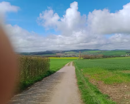 IMG_20240330_112125148