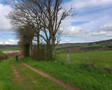 IMG_20240330_153336618