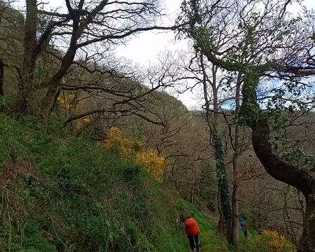 IMG_20240330_161339678