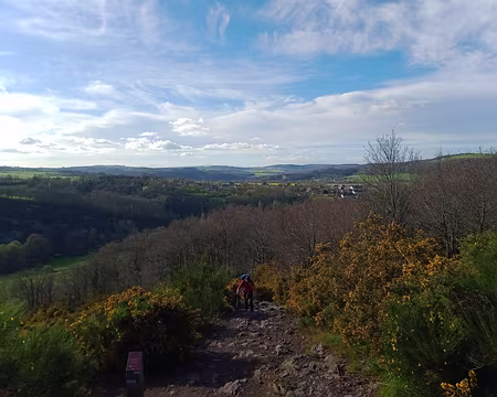 IMG_20240330_172549408