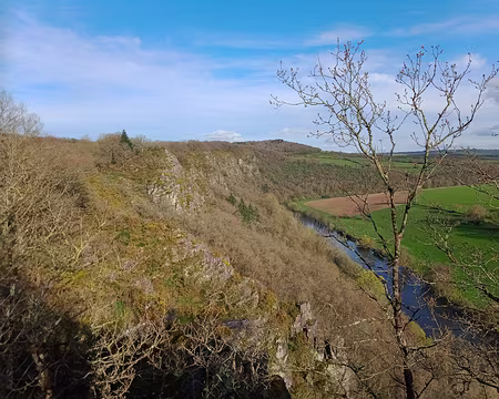 IMG_20240330_172937357