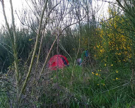 IMG_20240330_190342107