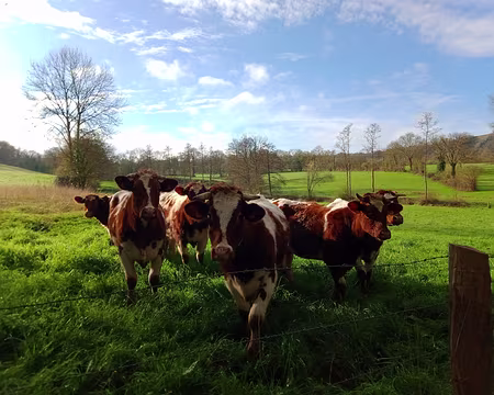 IMG_20240331_095110385