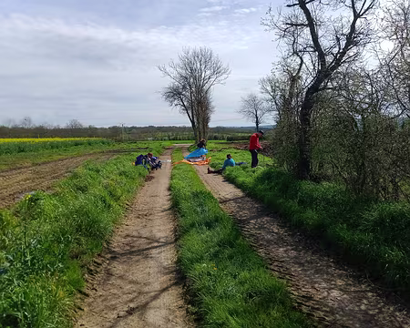 IMG_20240331_123808003