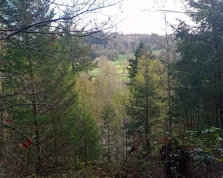 IMG_20240401_093812016