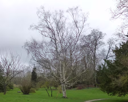 P1180818 Le parc Balbi créé fin XVIIIè siècle pour la Comtesse de Balbi, maîtresse du Comte de Provence.