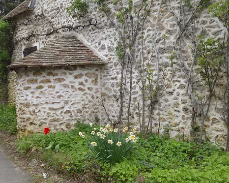 P1180896 Ardillières