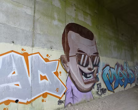 P1180908 Street art sous le pont de l'autoroute A10...