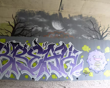 P1180909 ... et sous le pont du TGV