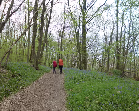 P1180910 Les bois de Tous Vents