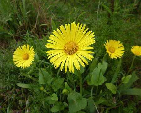P1180912 Merci à Marie-Claire pour ce week-end dans le Hurepoix