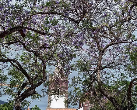 001 Funchal, messe à la cathédrale