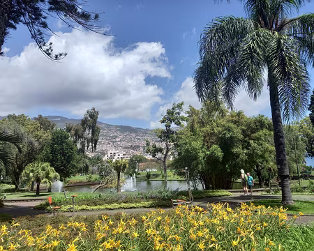 022 Funchal, Parc Santa Catarina, parterre d'hémérocalles jaunes.