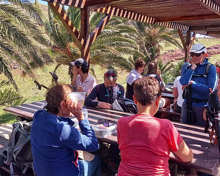 055 À la Casa Sardinha