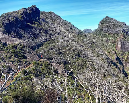 100 Une succession de picos