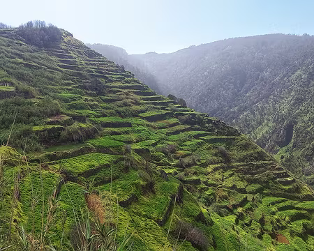 120 Dans les falaises abruptes les cultures en terrasse sont progresivement abandonnées.