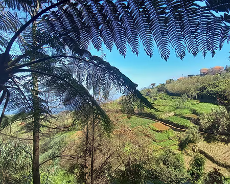 123 Sur la levada dos Pombais
