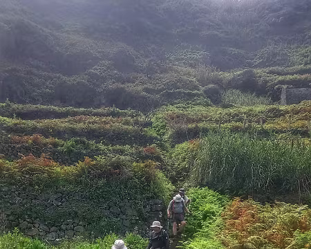 126 Chemin de trail tout nouveau mais pas entretenu, pas sur le gps. Pas évident.