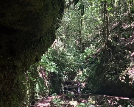 141 La levada serpente sur la rive droite de la Ribeira da Janela.