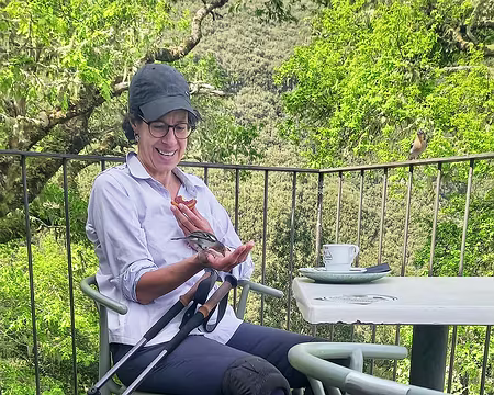 147 Pinson de Madère peu farouches