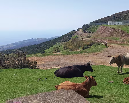151 Sur le plateau à 1300 m. Vue vers le sud.