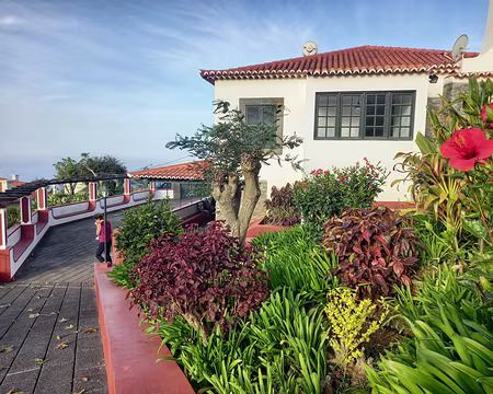 153 17-04-24 Notre gîte à Estreito da Calheta.