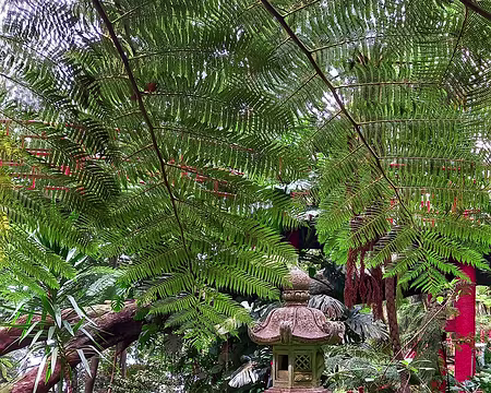 189 19-04-24 Monte Palace à Funchal