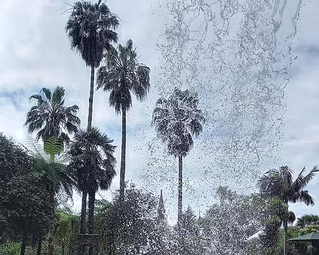 190 19-04-24 Monte Palace à Funchal