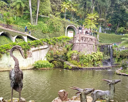 200 19-04-24 Monte Palace à Funchal