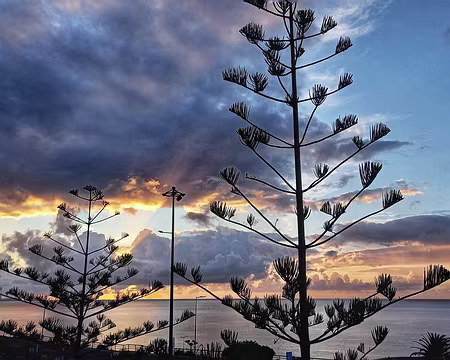 202 20-04-24 Matin; Aéroport de Machico-Funchal.