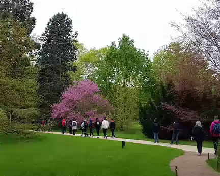 048 Le printemps à l’Arboretum