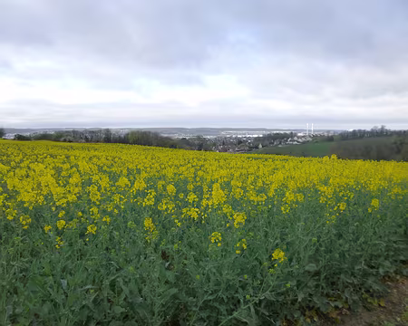 P1180862 Vallée de la Seine
