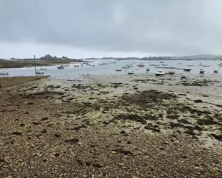 20240519_092402 J2 - Estran de Buguelès