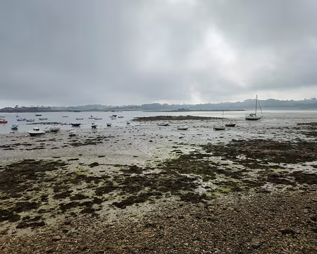 20240519_092417 Estran de Buguelès