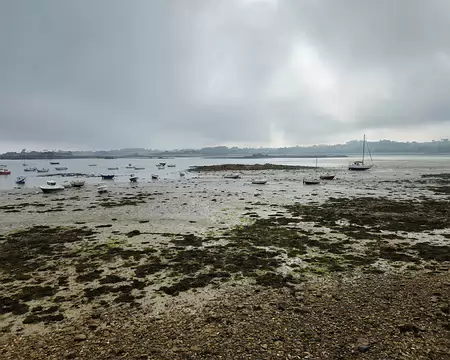 20240519_092417 Estran de Buguelès