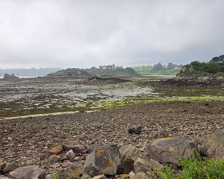 20240519_092754 Estran de Buguelès