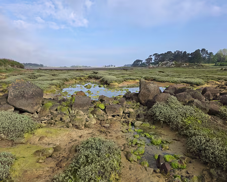 20240519_093538 Estran de Buguelès