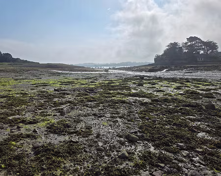 20240519_093944 Estran de Buguelès