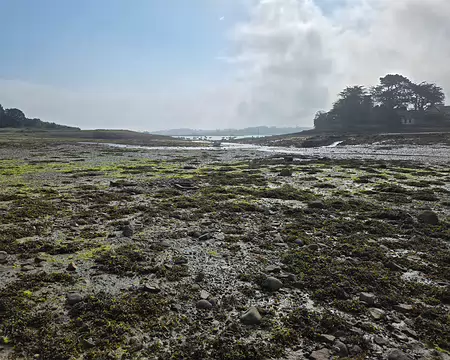 20240519_093944 Estran de Buguelès