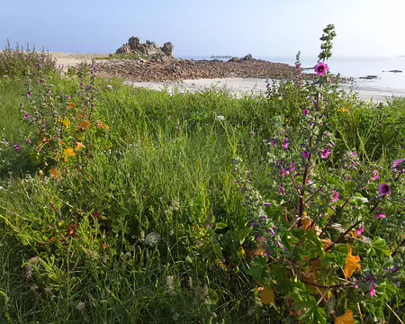 20240519_095447 Estran de Buguelès