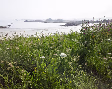 20240519_095530 Estran de Buguelès