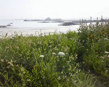 20240519_095530 Estran de Buguelès