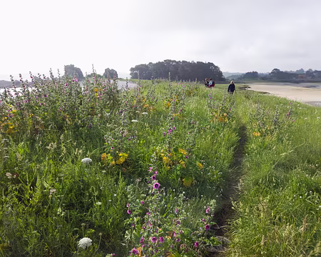 20240519_095537 Estran de Buguelès