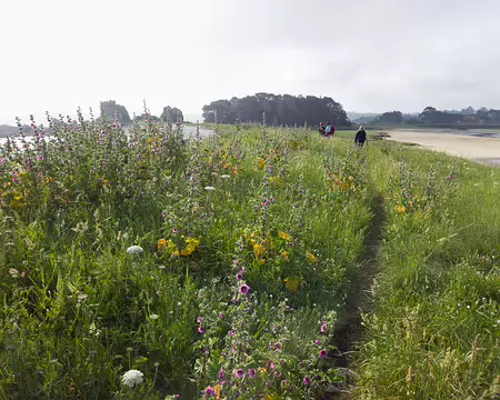 20240519_095537 Estran de Buguelès