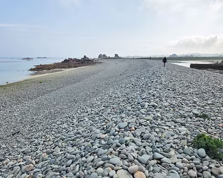 20240519_100737 Estran de Buguelès