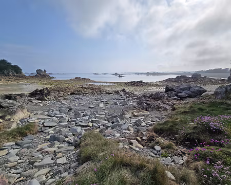 20240519_101927 Estran de Buguelès