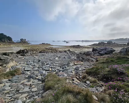 20240519_101927 Estran de Buguelès