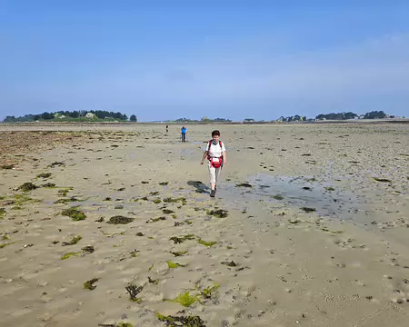 20240519_110649 Estran de Buguelès