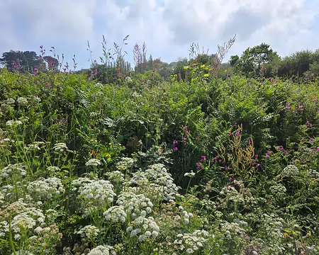 20240519_113604 Anse de Pellinec